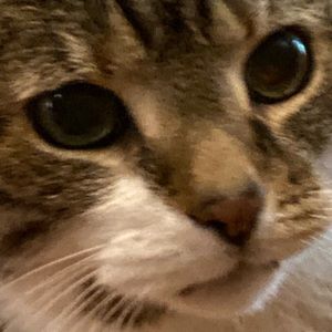 Meet your Posher, Abigail